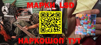 амф Сланцы