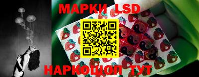 амф Сланцы