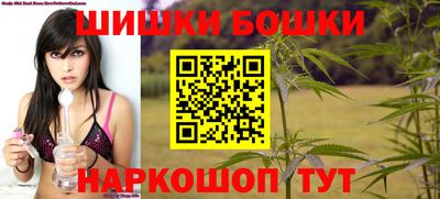 амф Сланцы