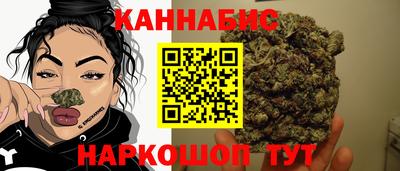 спиды Славгород