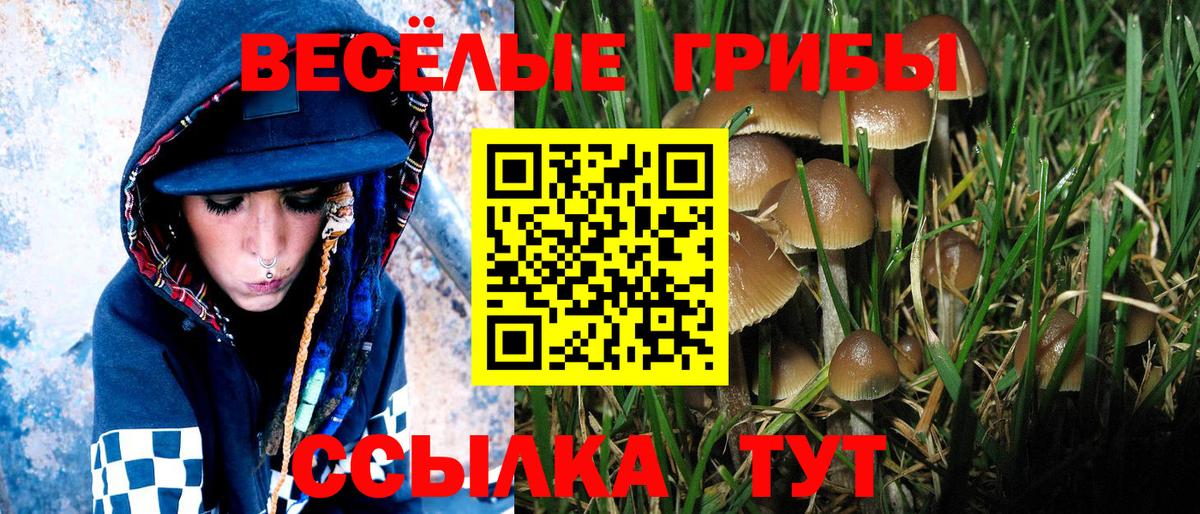 Галлюциногенные грибы GOLDEN TEACHER  Вход с VPN  Саянск  Псилоцибиновые грибы мицелий 