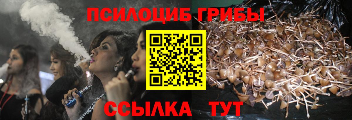 Псилоцибиновые грибы Magic Shrooms Саянск